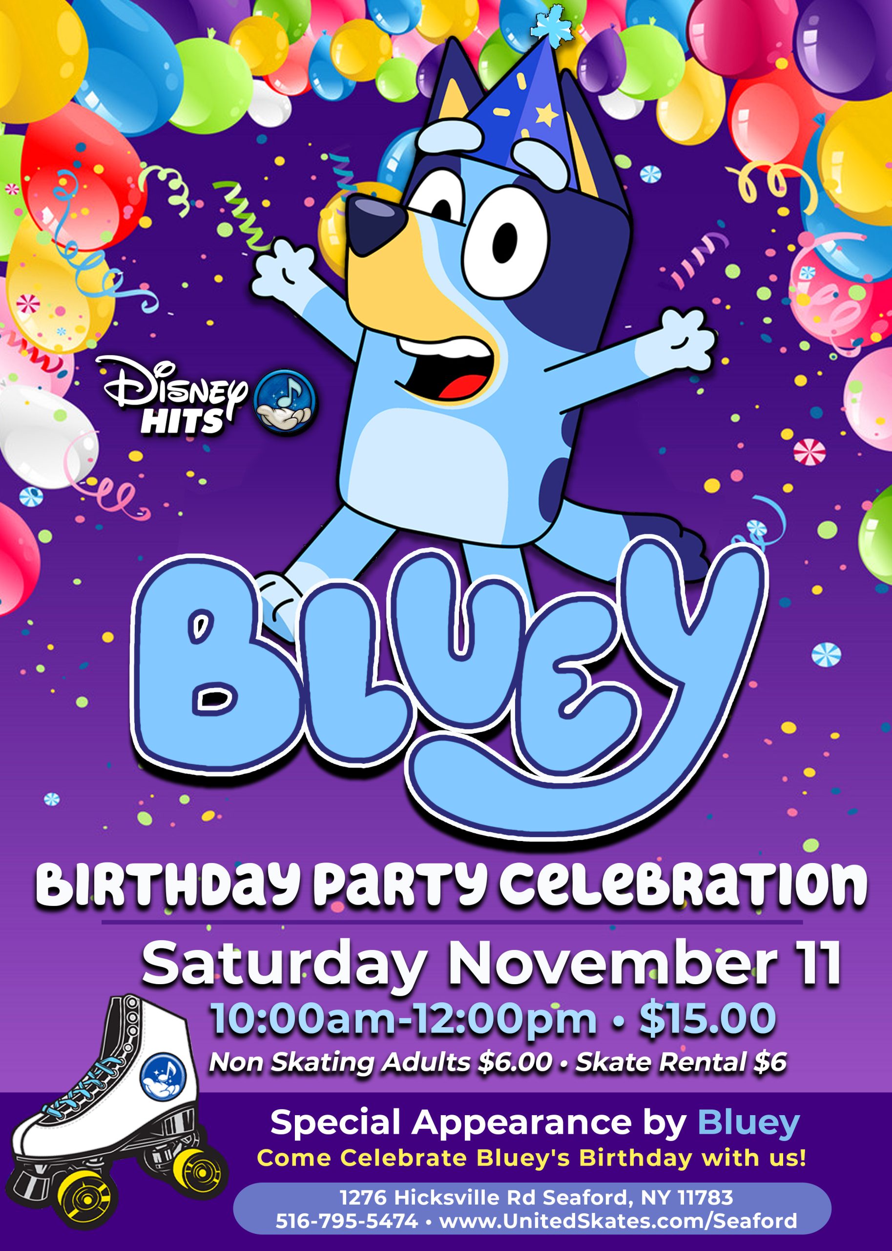 Bluey's Birthday Celebration!