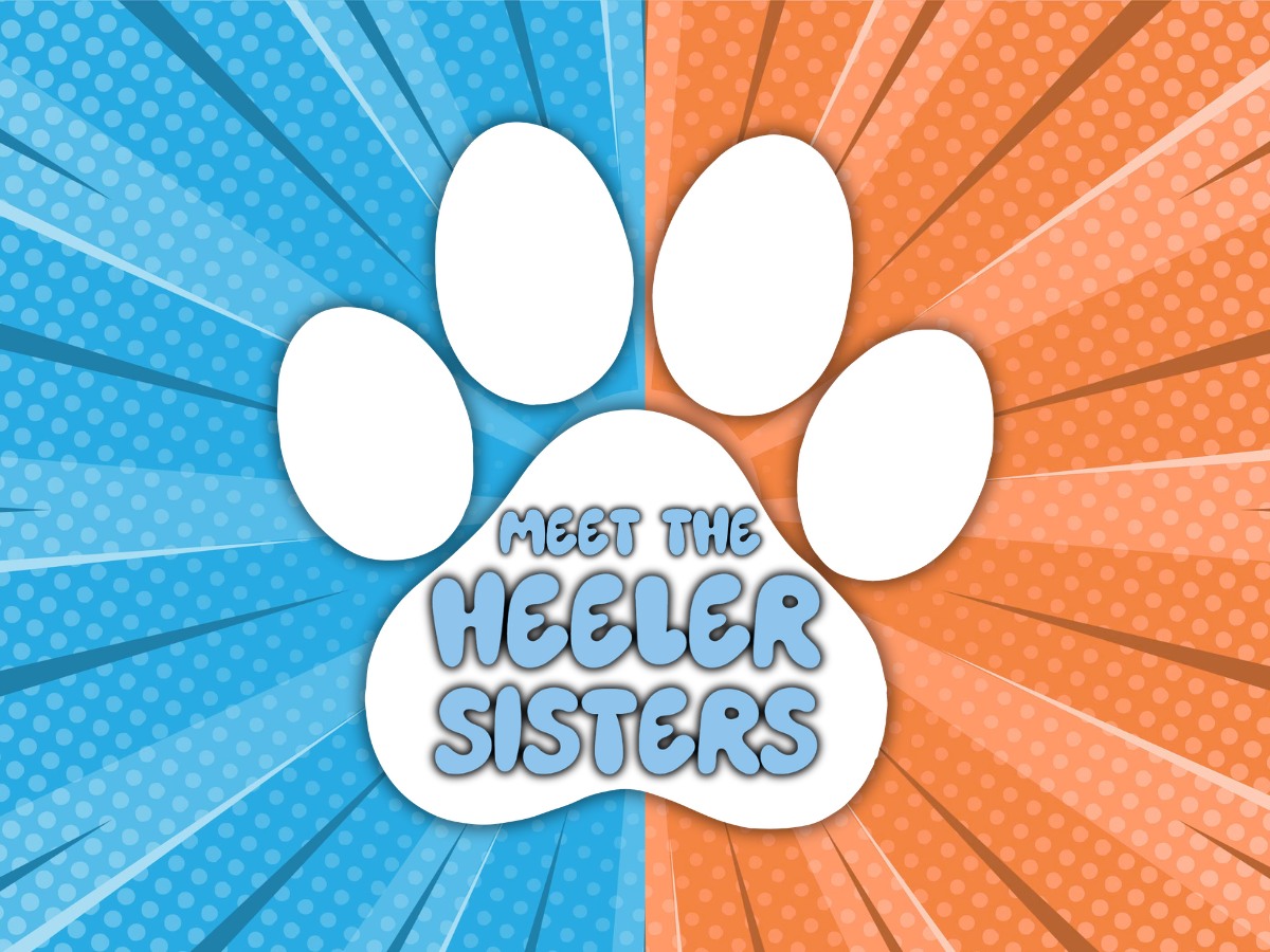 Heeler Sisters at United Skates Ri